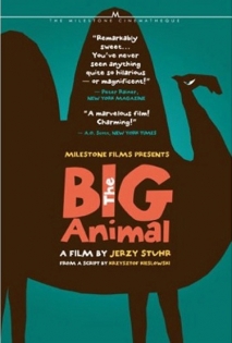 The Big Animal