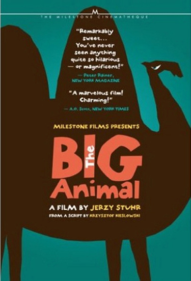 The Big Animal